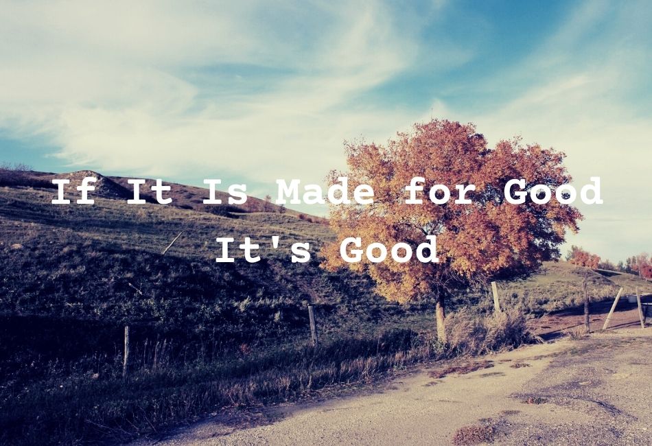 If It Is Made for Good, It's Good by Gayle Nemeth